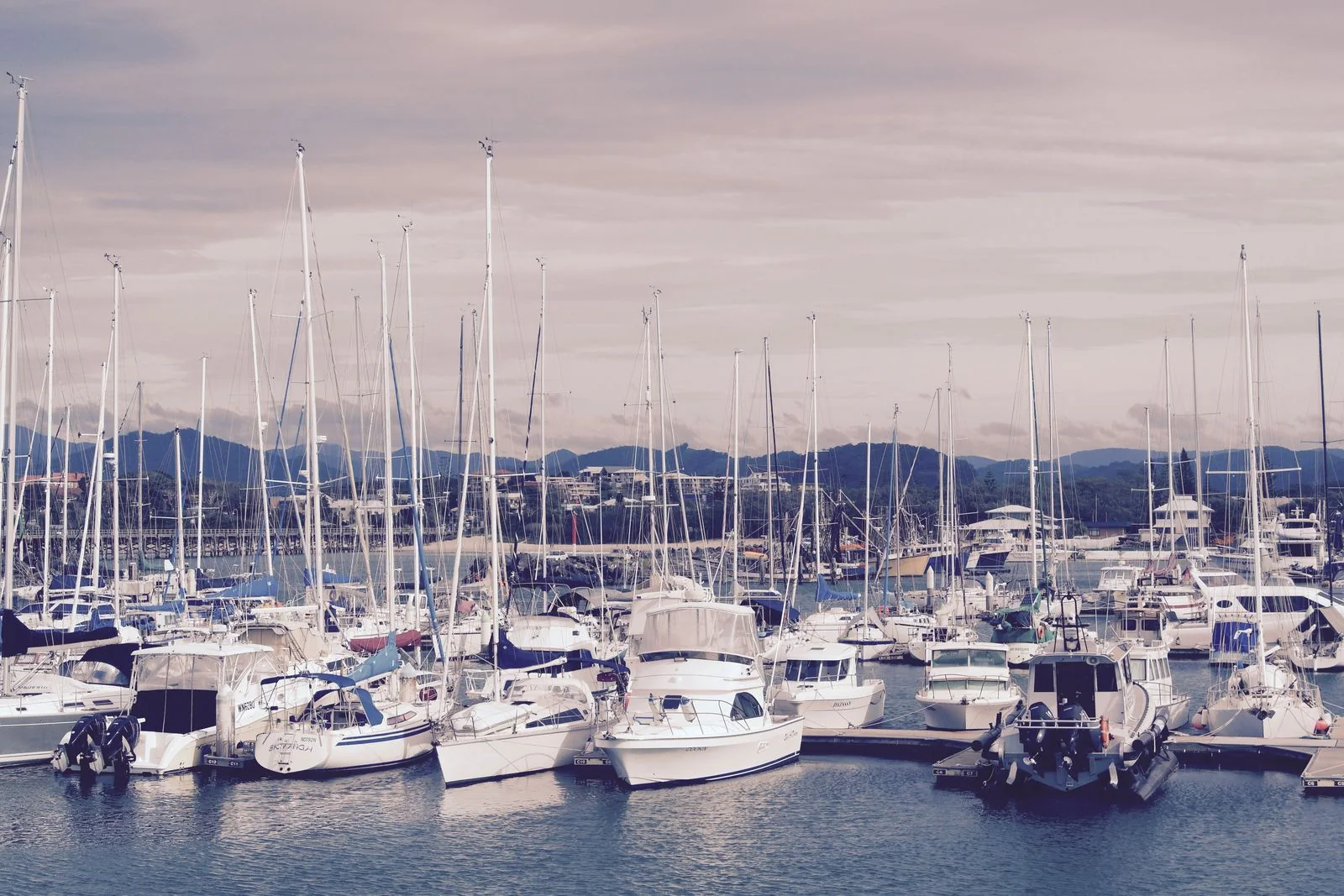 Yachts moored at a marina.